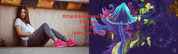 соль ск Киреевск