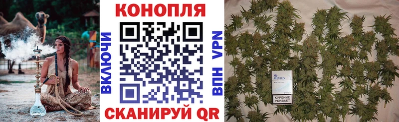 Купить  Карасук  Бошки Шишки White Widow 
